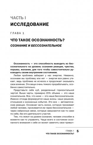 Жить ресурсно: перестань сливать свою жизнь! фото книги 2