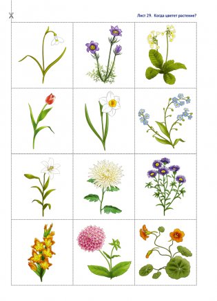 Природа в развитии и воспитании детей дошкольного возраста. 5—7 лет. Учебное наглядное пособие. ГРИФ фото книги 10