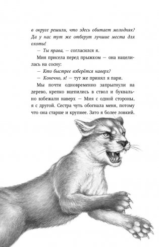 День огня фото книги 7