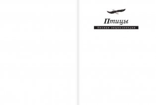 Птицы. Полная энциклопедия фото книги 2