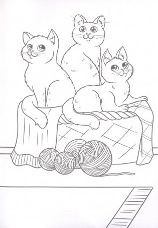 Забавные котики. Маленькая раскраска фото книги 5