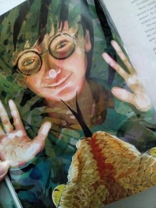 Harry Potter and the Philosopher's Stone: Illustrated Edition фото книги 4