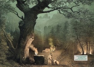 Викка. Зеленая магия, растения и ритуалы фото книги 7