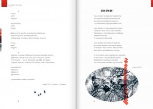 Красное, чёрное, белое и нечто совершенно иное фото книги 8