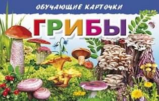 Обучающие карточки. Грибы фото книги