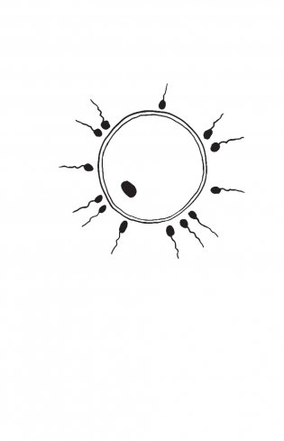 280 дней до вашего рождения. Репортаж о том, что вы забыли, находясь в эпицентре событий фото книги 5