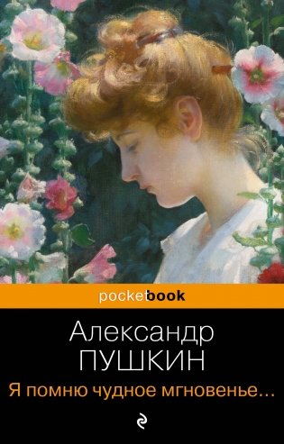 Я помню чудное мгновенье... Стихотворения фото книги