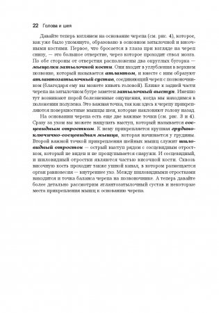 Анатомия тела в движении фото книги 3