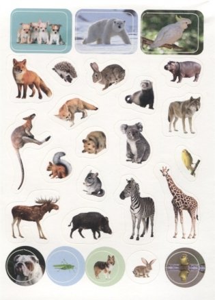 100 наклеек. Мир животных фото книги 4