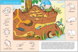 Кто где живет? 2-3 года фото книги 3