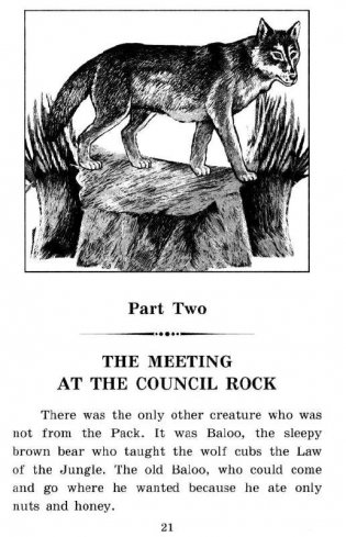 Книга джунглей. Домашнее чтение фото книги 10