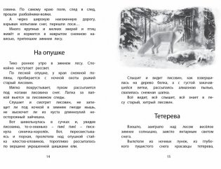 Год в лесу фото книги 2