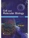 Cell and Molecular Biology, Volume 1 with 11 color plates (HB) фото книги маленькое 2