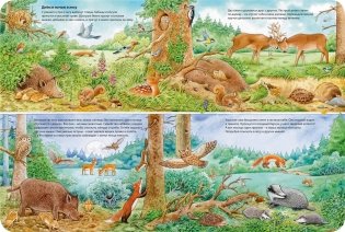 Мир животных фото книги 2