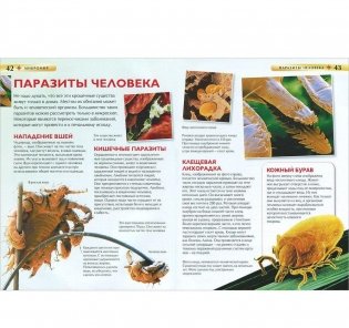 Микромир фото книги 3