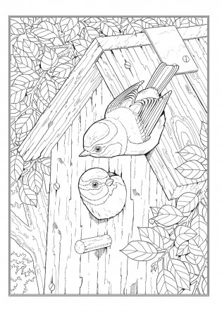 Creative Haven Glorious Songbirds Coloring Book фото книги 6