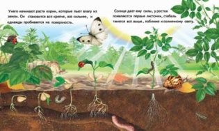 Как появляется цветок фото книги 2