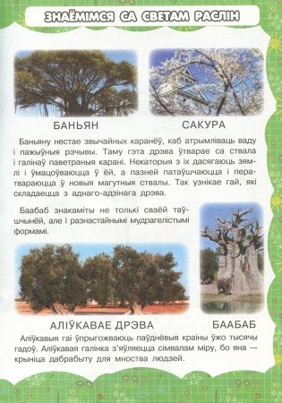 Дрэвы і кветкі фото книги 5