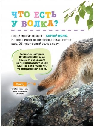 Животные. Первая энциклопедия малыша фото книги 5