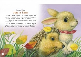 Сказки о животных фото книги 2