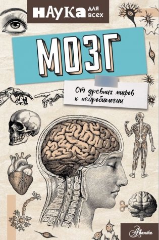 Мозг. От древних мифов к нейробиологии фото книги