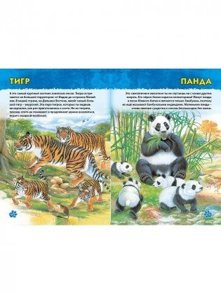 Животные мира. Первая энциклопедия дошкольника фото книги 8