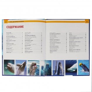 Киты. Дельфины и косатки фото книги 2