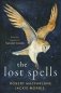 Lost spells фото книги маленькое 2