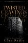 Twisted Cravings фото книги маленькое 2