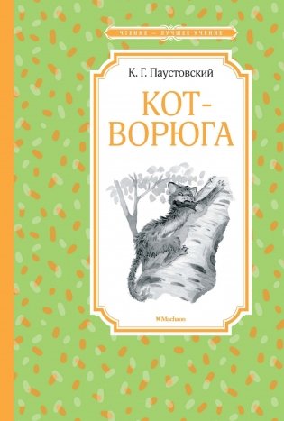 Кот-ворюга. Рассказы и сказки фото книги