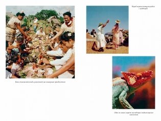 Путешествия на другую сторону света фото книги 5