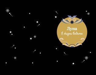 Магические ритуалы на каждый день фото книги 6