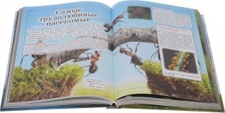 Большая детская энциклопедия обо всем на свете фото книги 2