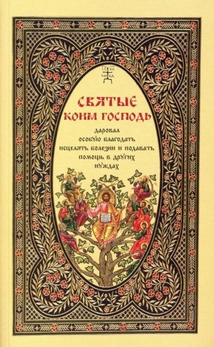 Святые, коим Господь даровал особую благодать исцелять болезни и подавать помощь в других нуждах фото книги