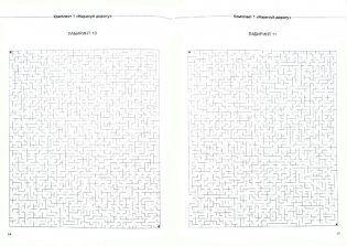 Не просто лабиринты. Набор 2 фото книги 2