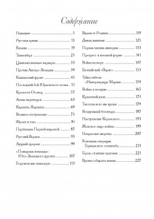 Великая и забытая. Рассказы для детей о Первой мировой войне фото книги 9