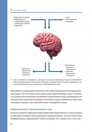Нейроатлетика для оптимизации силовых тренировок: сила зарождается в мозге фото книги 11