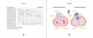 Биохакинг. Руководство по раскрытию потенциала организма фото книги 6