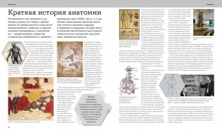 Анатомия человека. Визуальный гид по всем системам организма: норма и патологии фото книги 2