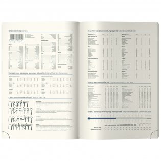 Ежедневник недатированный, А5, 136 л., кожзам, Berlingo "Memphis", серебряный срез, с рисунком. Арт. UD2_01S04 фото книги 4
