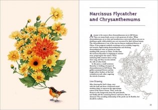 Birds and Flowers in Colored Pencil: Step-by-Step Tutorials and Techniques фото книги 9