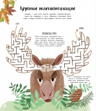 По разным континентам. Игры, факты, лабиринты фото книги 4