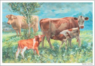 Картины из жизни домашних животных. Наглядно-дидактическое пособие. 3-7 лет. ФГОС фото книги 3