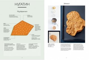 Большая книга кондитера. Торты, пирожные, десерты. Учимся готовить шедевры фото книги 6