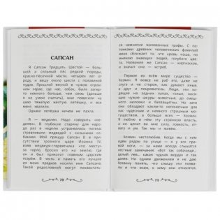 Белый пудель и другие рассказы. Внеклассное чтение фото книги 2