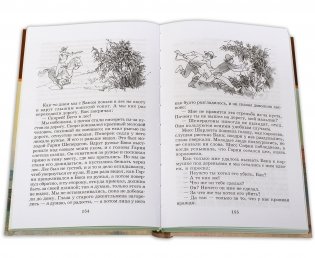 Приключения Гекльберри Финна фото книги 4