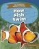 How Fish Swim фото книги маленькое 2