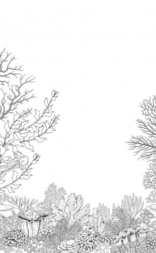 Злой король фото книги 7