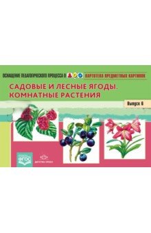 Картотека предметных картинок. Наглядный дидактический материал. Выпуск 6. Садовые и лесные ягоды фото книги