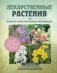 Лекарственные растения. Большая иллюстрированная энциклопедия фото книги маленькое 2